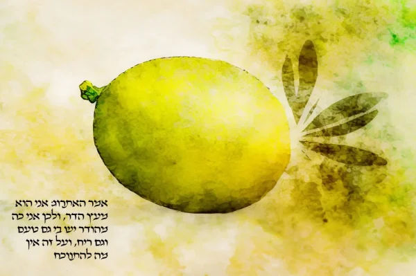 ⁦ארבעת המינים⁩ – תמונה ⁦4⁩
