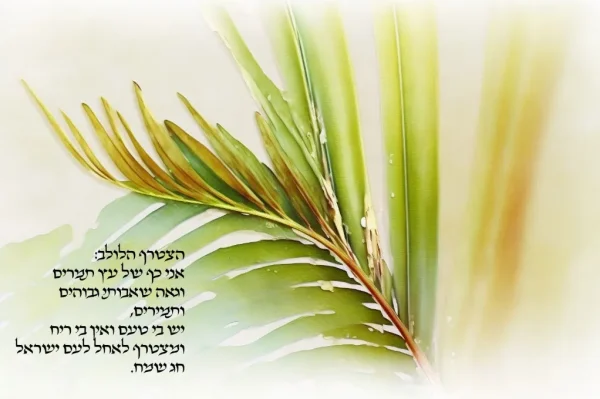 ⁦ארבעת המינים⁩ – תמונה ⁦2⁩